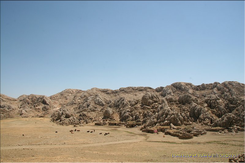 TR2007_0383