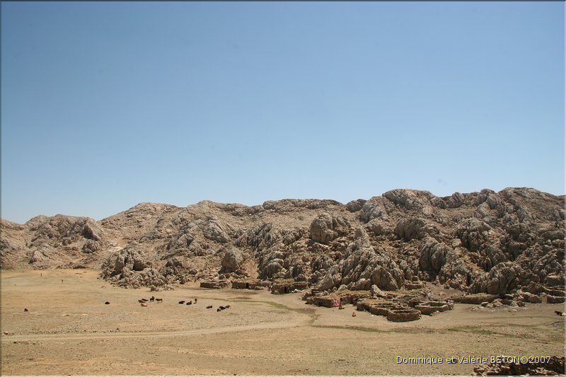 TR2007_0384