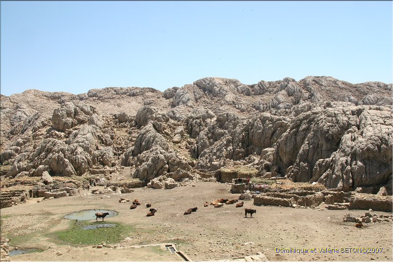 TR2007_0387