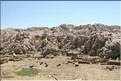TR2007_0387