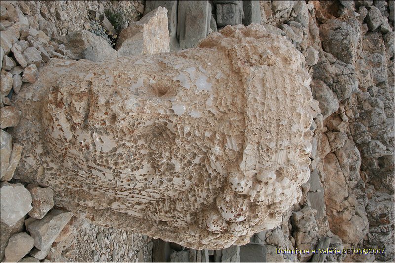 TR2007_0402