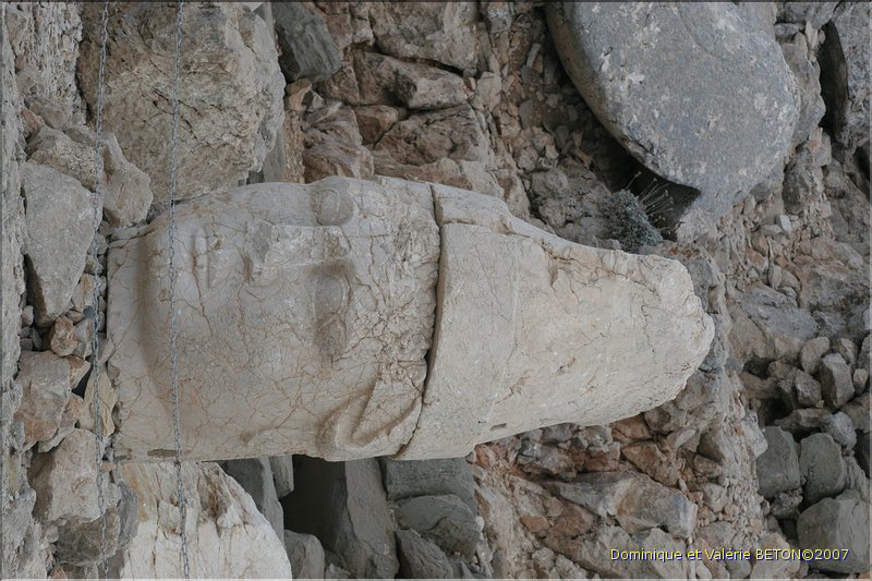 TR2007_0420