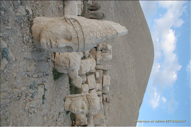 TR2007_0442