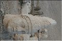 TR2007_0443