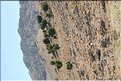 TR2007_0501