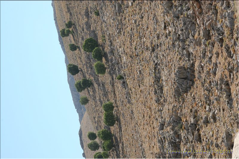 TR2007_0502