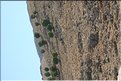 TR2007_0502