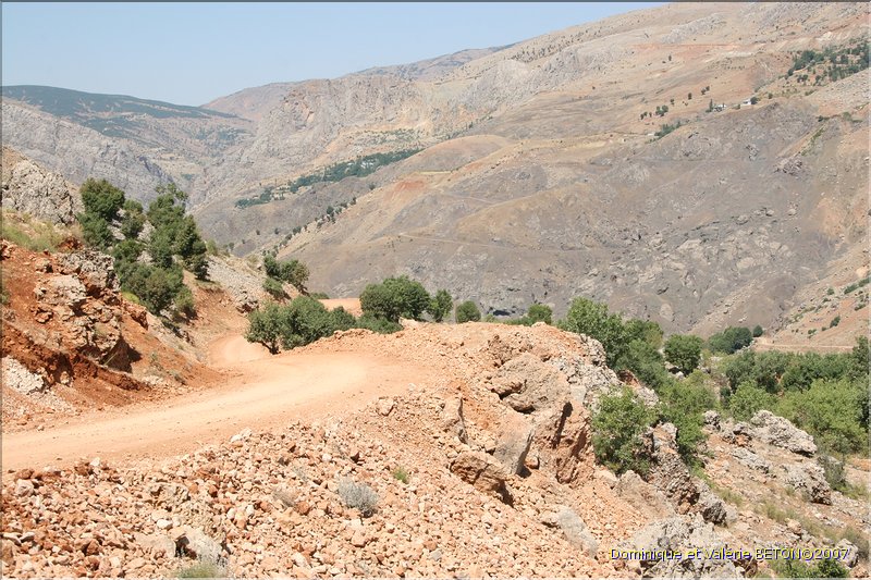 TR2007_0503