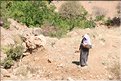 TR2007_0504