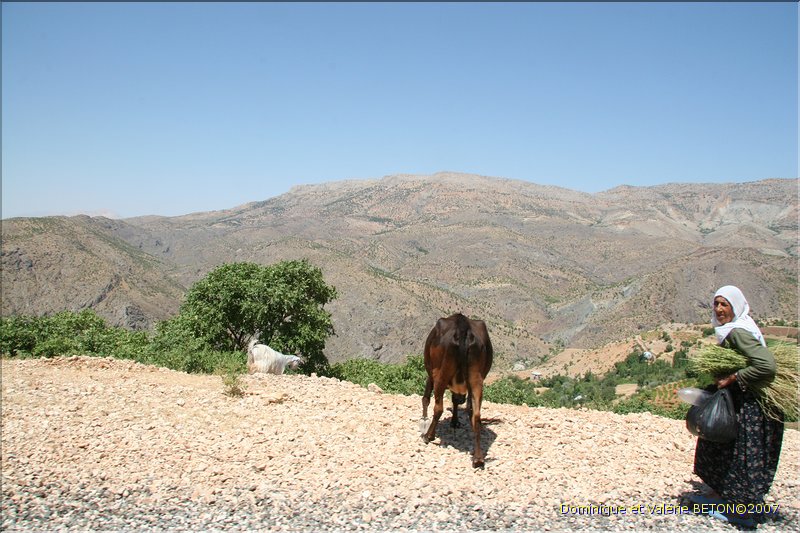 TR2007_0511