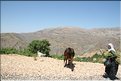 TR2007_0511