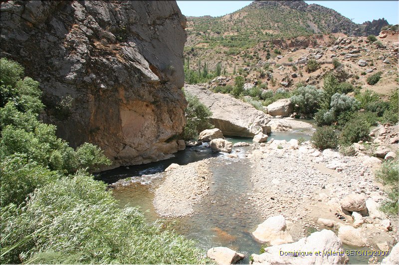 TR2007_0513