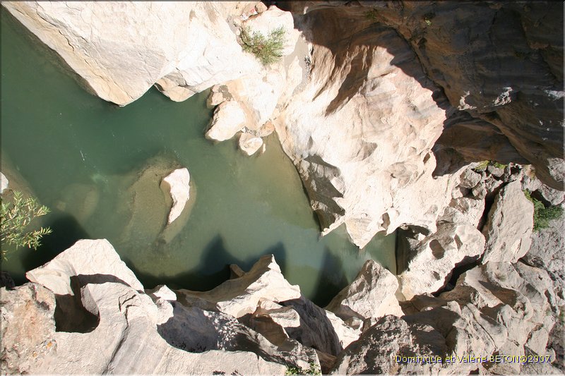 TR2007_0515