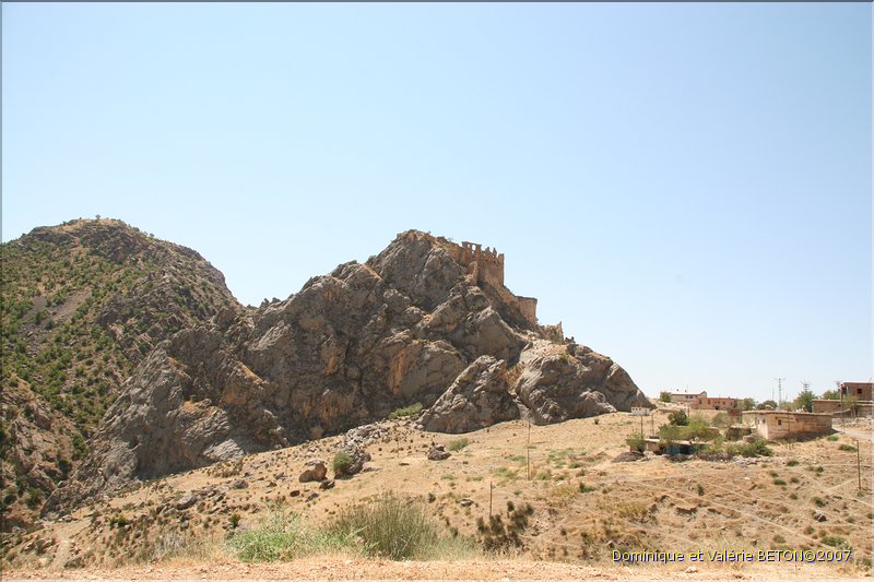 TR2007_0517