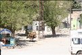 TR2007_0518