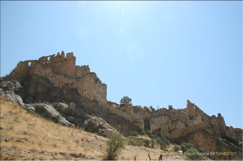 TR2007_0519