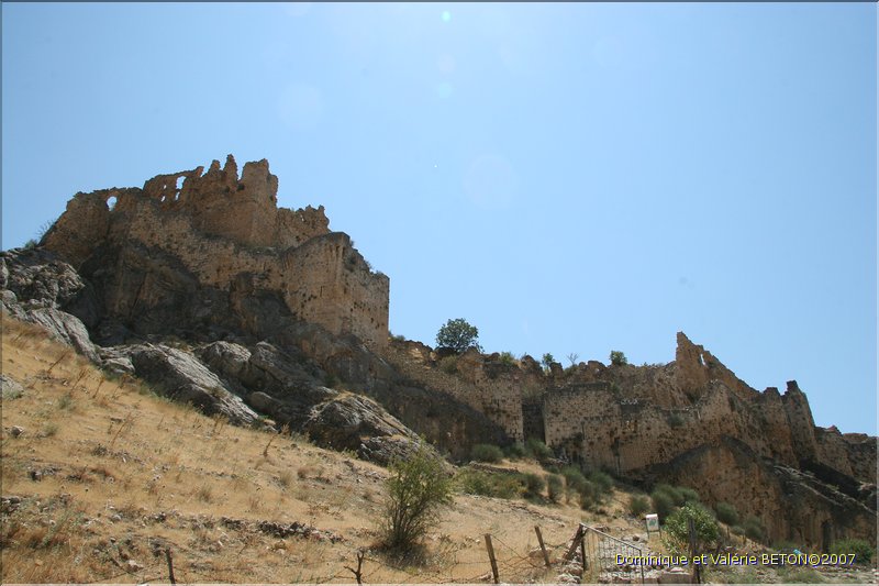 TR2007_0520