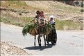 TR2007_0522