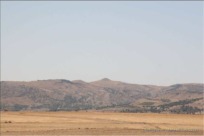 TR2007_0524