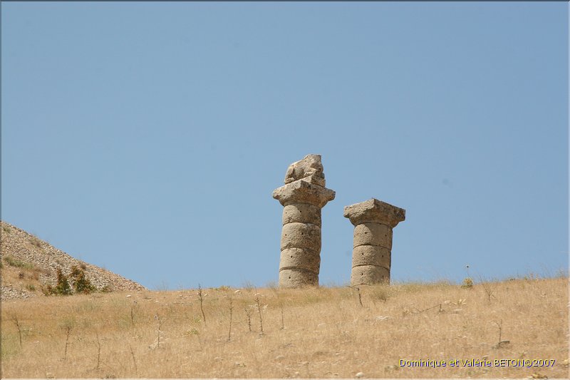 TR2007_0530