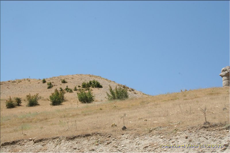 TR2007_0531