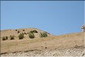 TR2007_0531