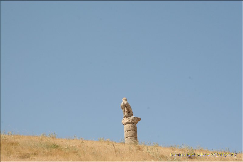 TR2007_0532