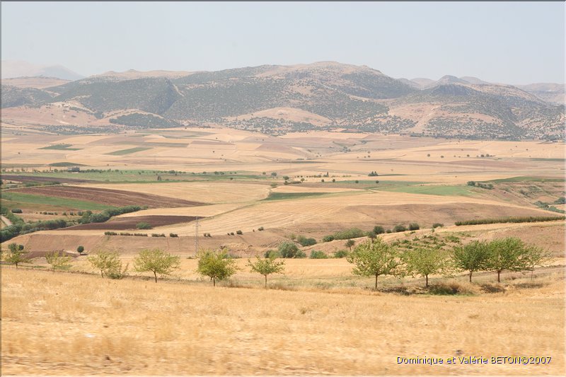 TR2007_0536