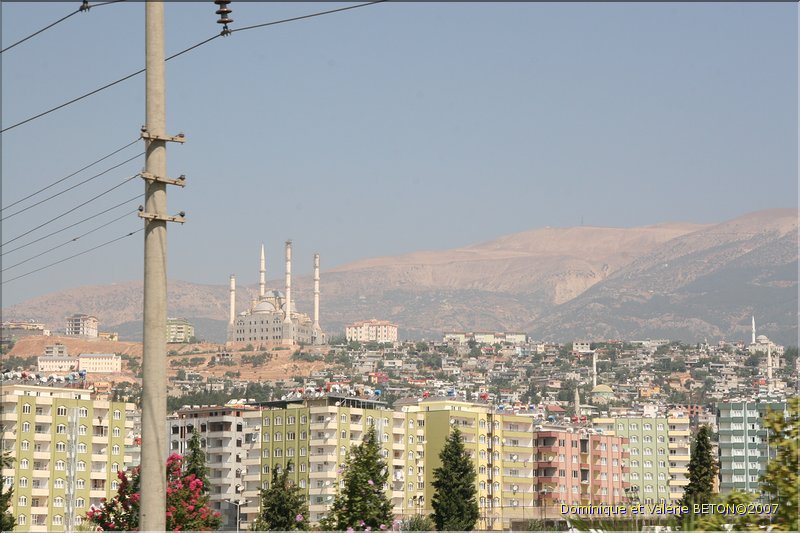 TR2007_0586