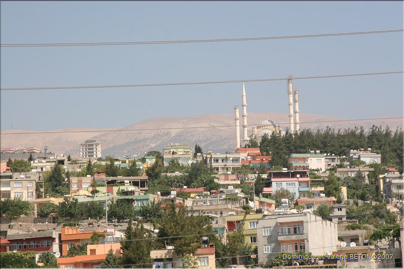TR2007_0587