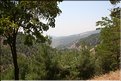 TR2007_0589