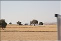 TR2007_0623