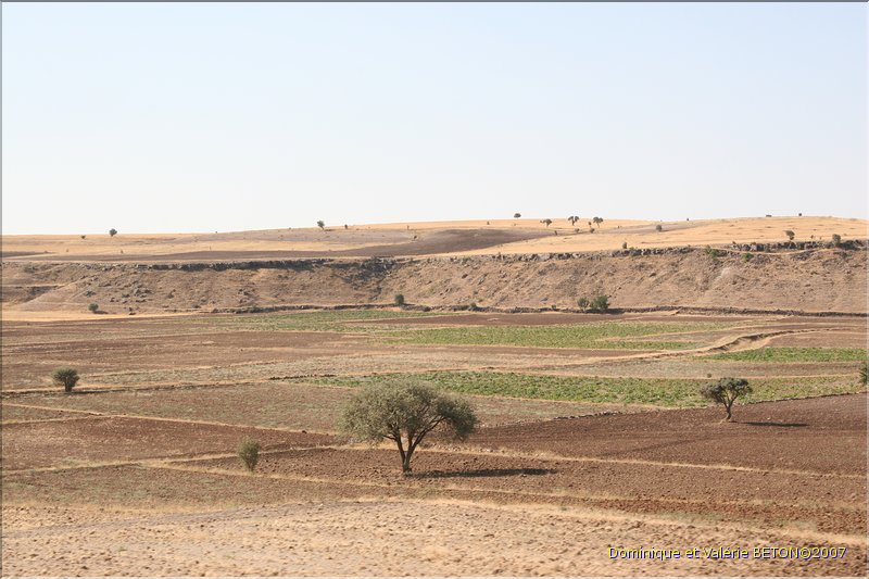 TR2007_0624