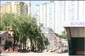 TR2007_0626