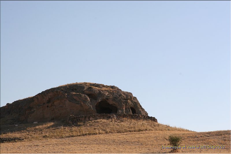 TR2007_0630