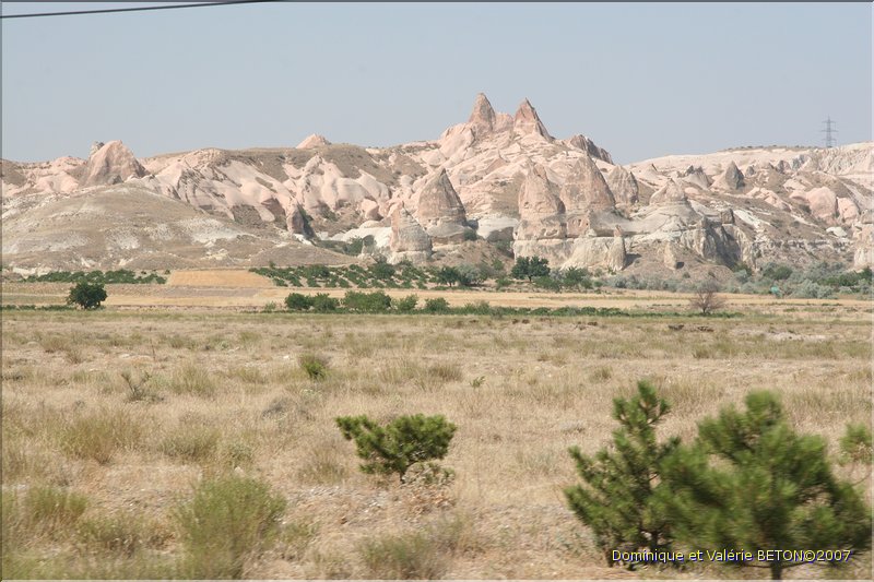 TR2007_0633
