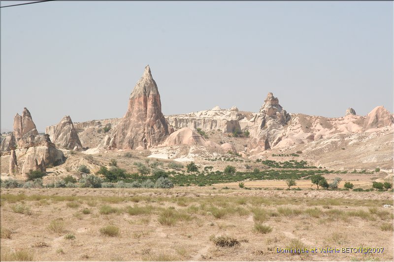 TR2007_0635