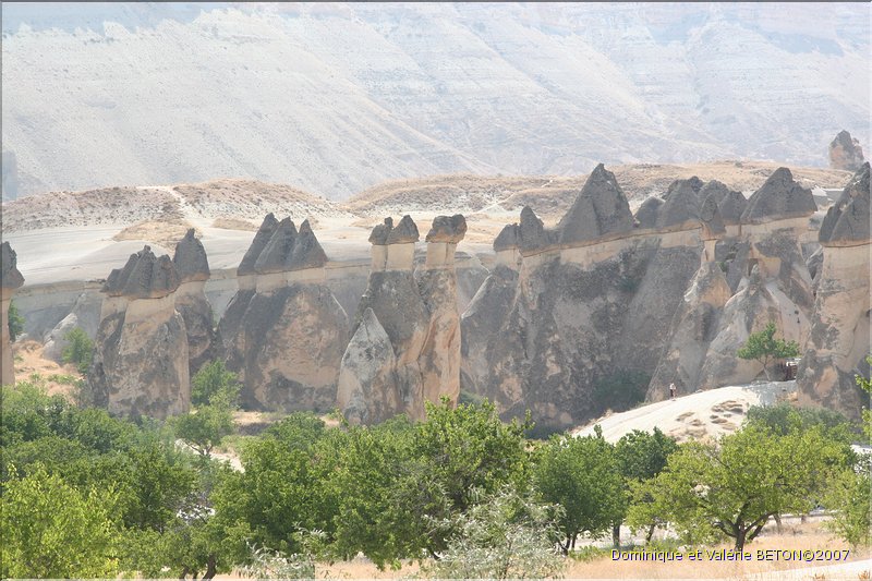 TR2007_0638