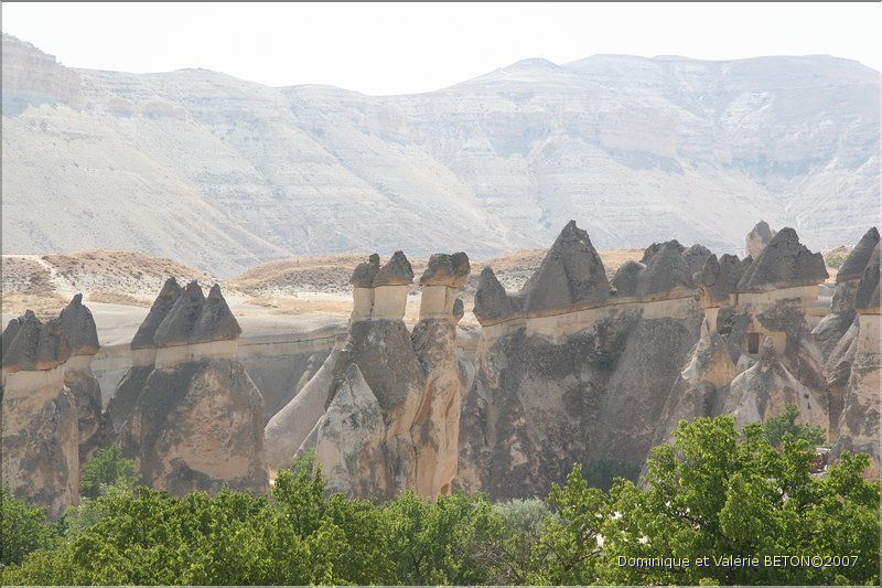 TR2007_0639