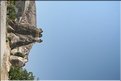 TR2007_0641