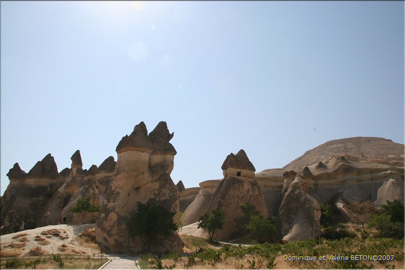 TR2007_0642