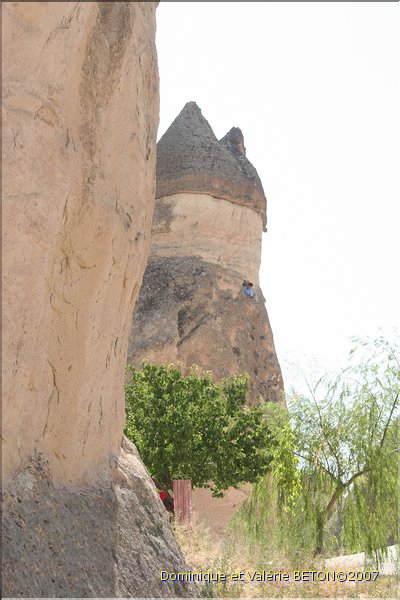 TR2007_0645