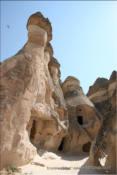 TR2007_0647