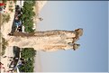 TR2007_0653