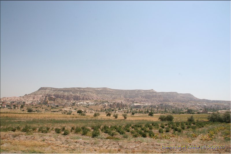 TR2007_0659