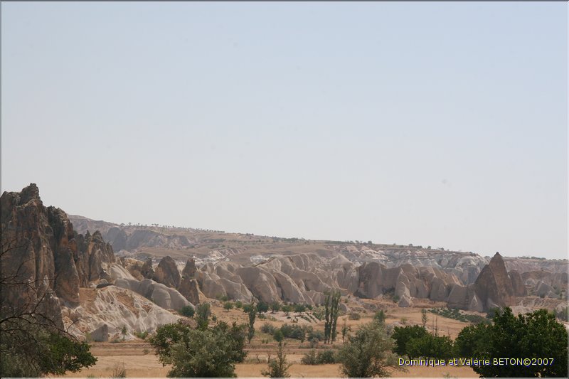 TR2007_0661