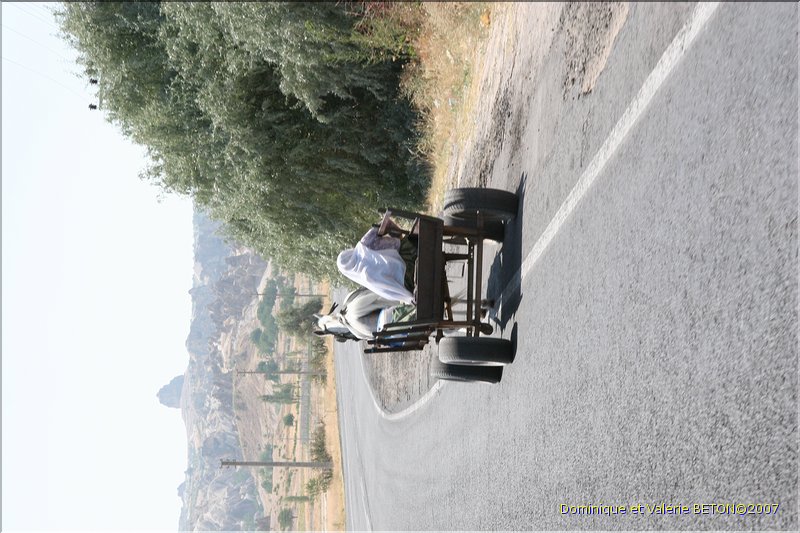 TR2007_0662