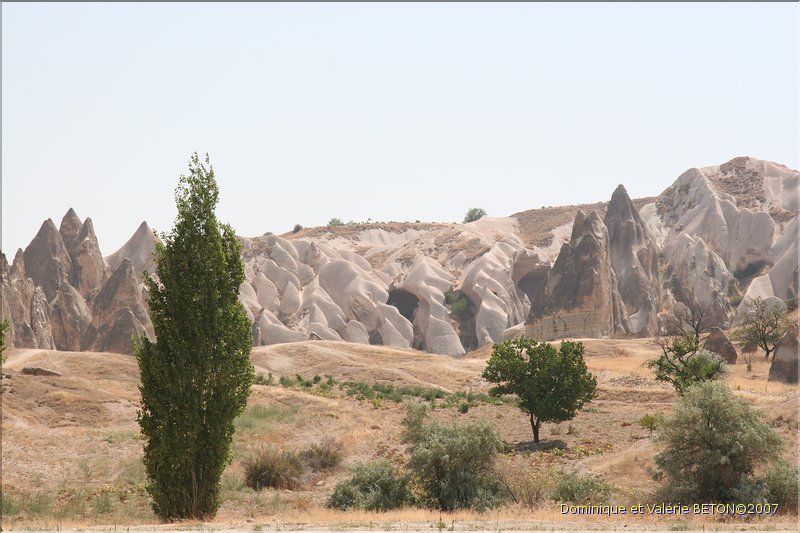 TR2007_0664