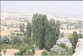 TR2007_0726