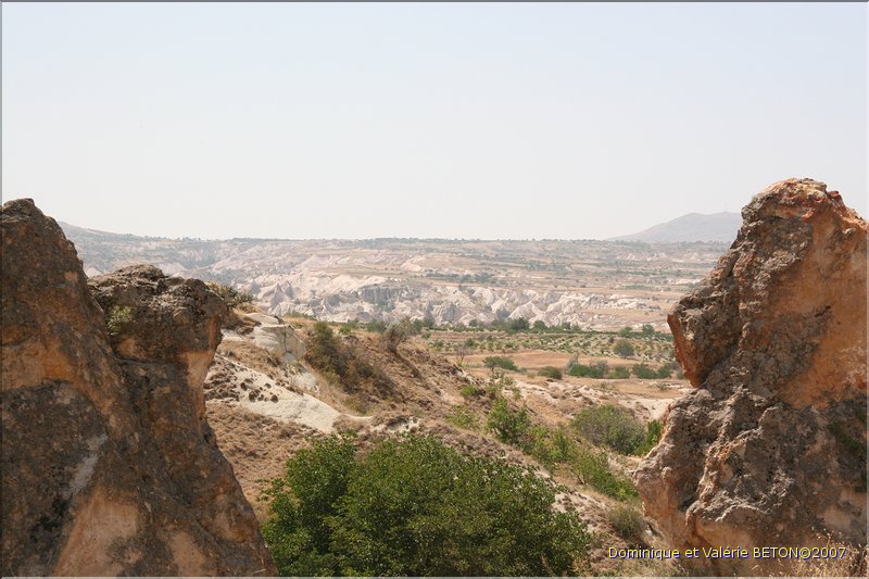 TR2007_0744
